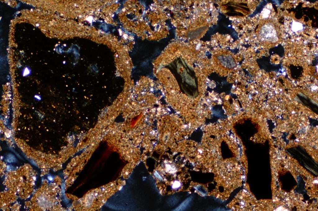Thin section of a coprolites from Hohle Fels
