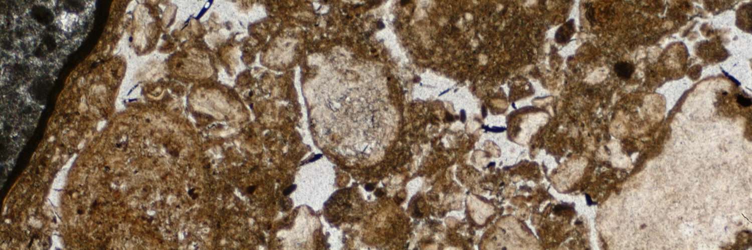 Geogenomic Archaeology Campus Tübingen A Leibniz ScienceCampus